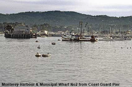  Monterey Harbour & Municipal Wharf No2 from Coast Guard Pier, Monterey, CA, USA