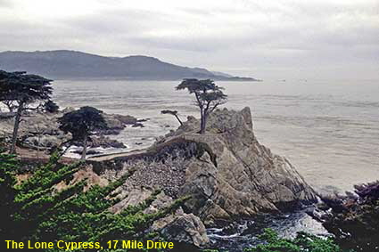  The Lone Cypress, Monterey Peninsula, CA, USA