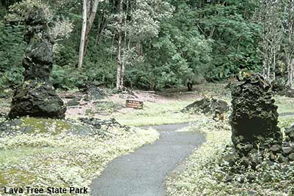  Lava Tree State Park, Hawaii, HI, USA