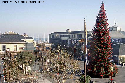  Pier 39 & Christmas Tree, San Francisco, CA, USA