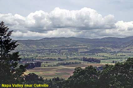  Napa Valley near Oakville, CA, USA