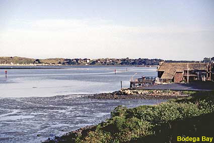 Bodega Bay, CA, USA Bodega Bay, CA, USA