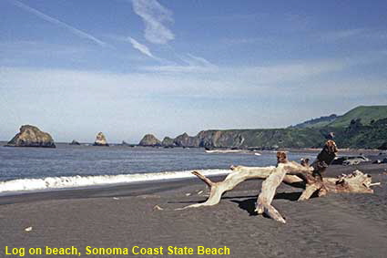 Log on beach, Sonoma Coast State Beach, CA, USA Log on beach, Sonoma Coast State Beach, CA, USA