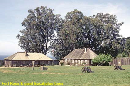 19950504T1040L 19950504T1040L