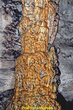  Stalactite/Stalagmite, Carlsbad Caverns, NM, USA