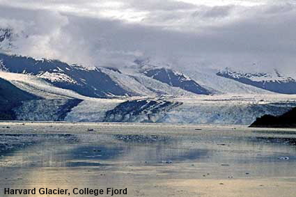 Harvard Glacier, College Fjiord , AK, USA