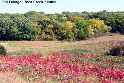 Fall Foliage, Rock Creek Station, Nebraska, USA