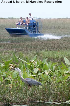  Airboat & heron from 'Indian Village', Mikkosukee Reservation, FL, USA