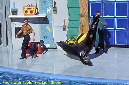  'Fools with Tools' Sea Lion show, Sea World, San Diego, CA, USA