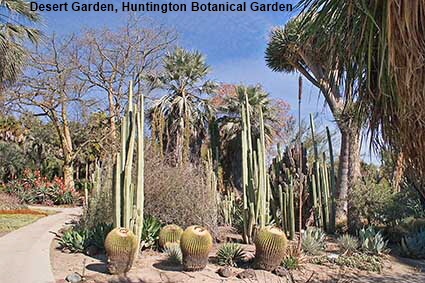  Desert Garden, Huntington Botanical Garden, Los Angeles, CA, USA