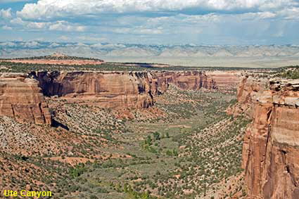 Ute Canyon, Colorado National Monument, CO, USA Ute Canyon, Colorado National Monument, CO, USA