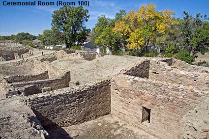  Room 100 Ceremonial Room, Salmon Ruins, Bloomfield, NM, USA