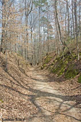  Sunken Trace, Natchez Trace Parkway, MS, USA