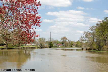  Bayou Teche, Franklin, LA, USA