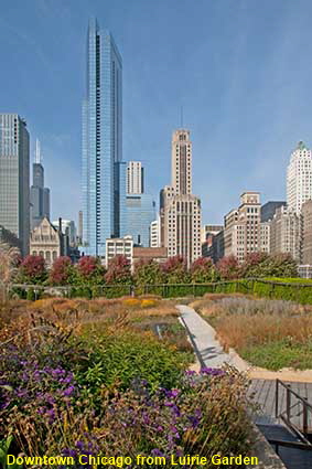 Downtown Chicago from Luirie Garden, Millennium Park, IL, USA