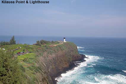  Kilauea Point & Lighthouse, Kauai, HI, USA