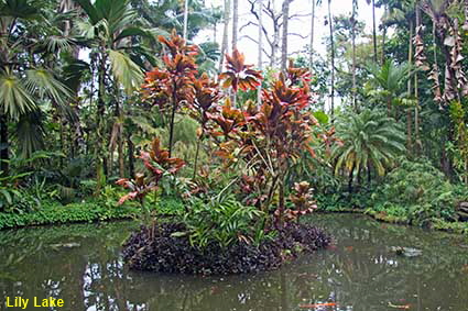 Lily Lake, Hawaii Tropical Botanical Garden, Hawaii , HI, USA Lily Lake, Hawaii Tropical Botanical Garden, Hawaii , HI, USA