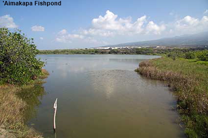 'Aimakapa Fishpond, Kaloko-Honokohau NHP, Hawaii , HI, USA 'Aimakapa Fishpond, Kaloko-Honokohau NHP, Hawaii , HI, USA