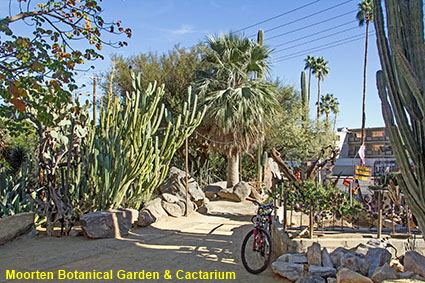 Moorten Botanical Garden & Cactarium, Palm Springs, CA, USA Moorten Botanical Garden & Cactarium, Palm Springs, CA, USA